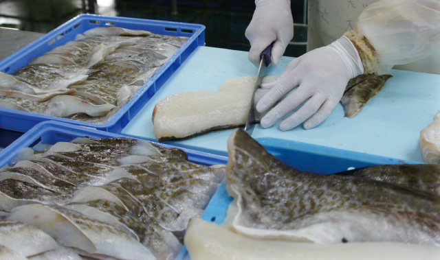 Processing of cod